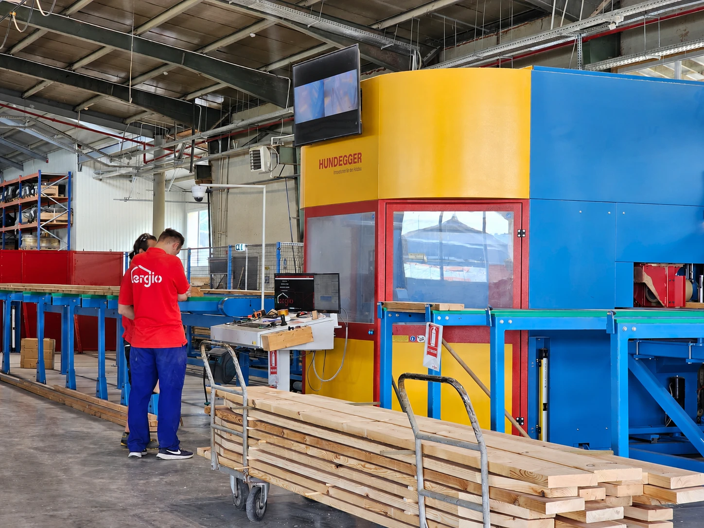 Current ERGIO industrial timber processing line in Comănești, Romania